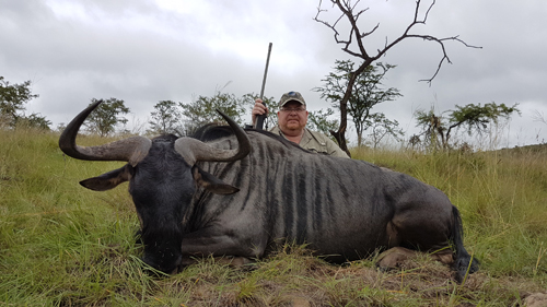 Our Customers/Darcy Knight/March 2017/OC-Darcy Knight-South Africa March 2017-Blue Wildebeest_s.jpg